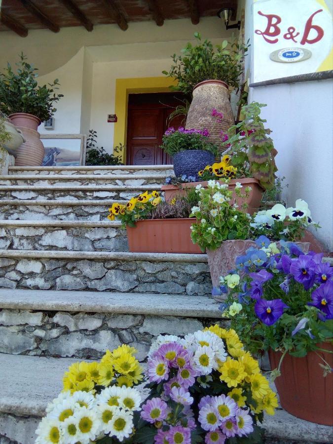 Casa D' Artista B&B 오지에리 외부 사진