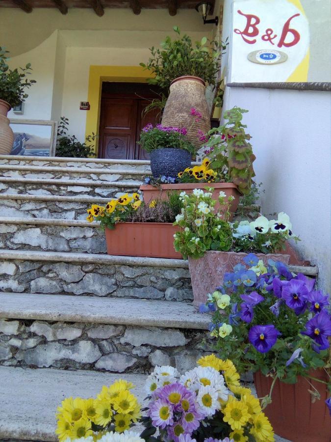 Casa D' Artista B&B 오지에리 외부 사진
