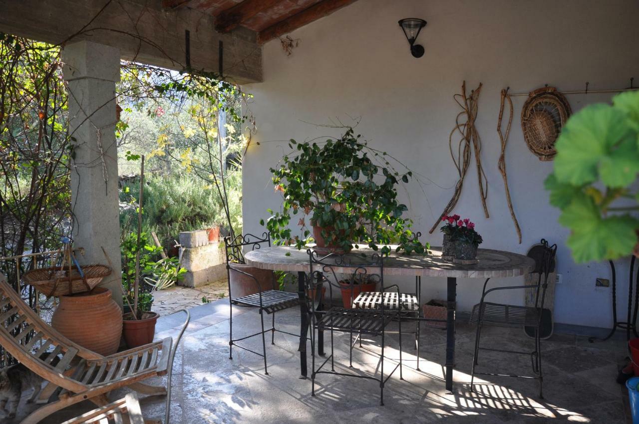 Casa D' Artista B&B 오지에리 외부 사진