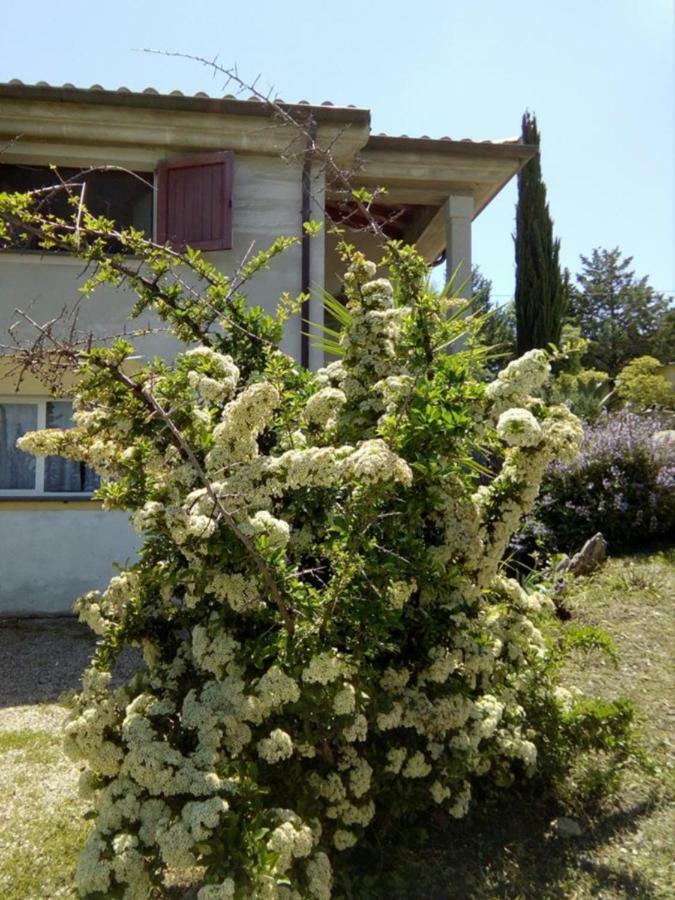 Casa D' Artista B&B 오지에리 외부 사진