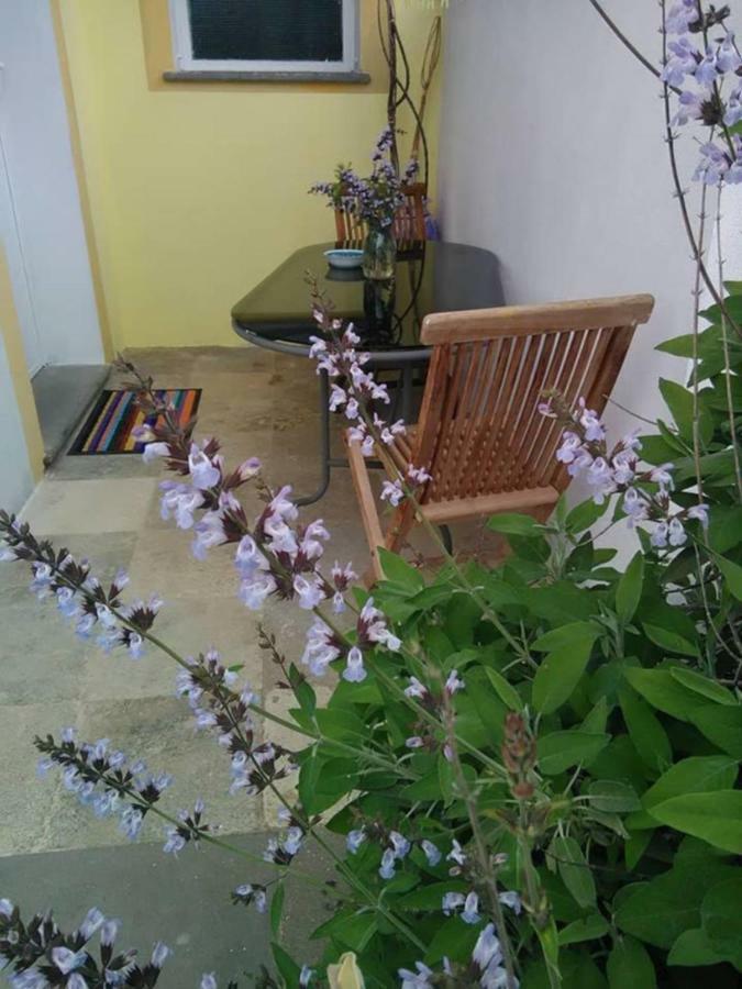 Casa D' Artista B&B 오지에리 외부 사진