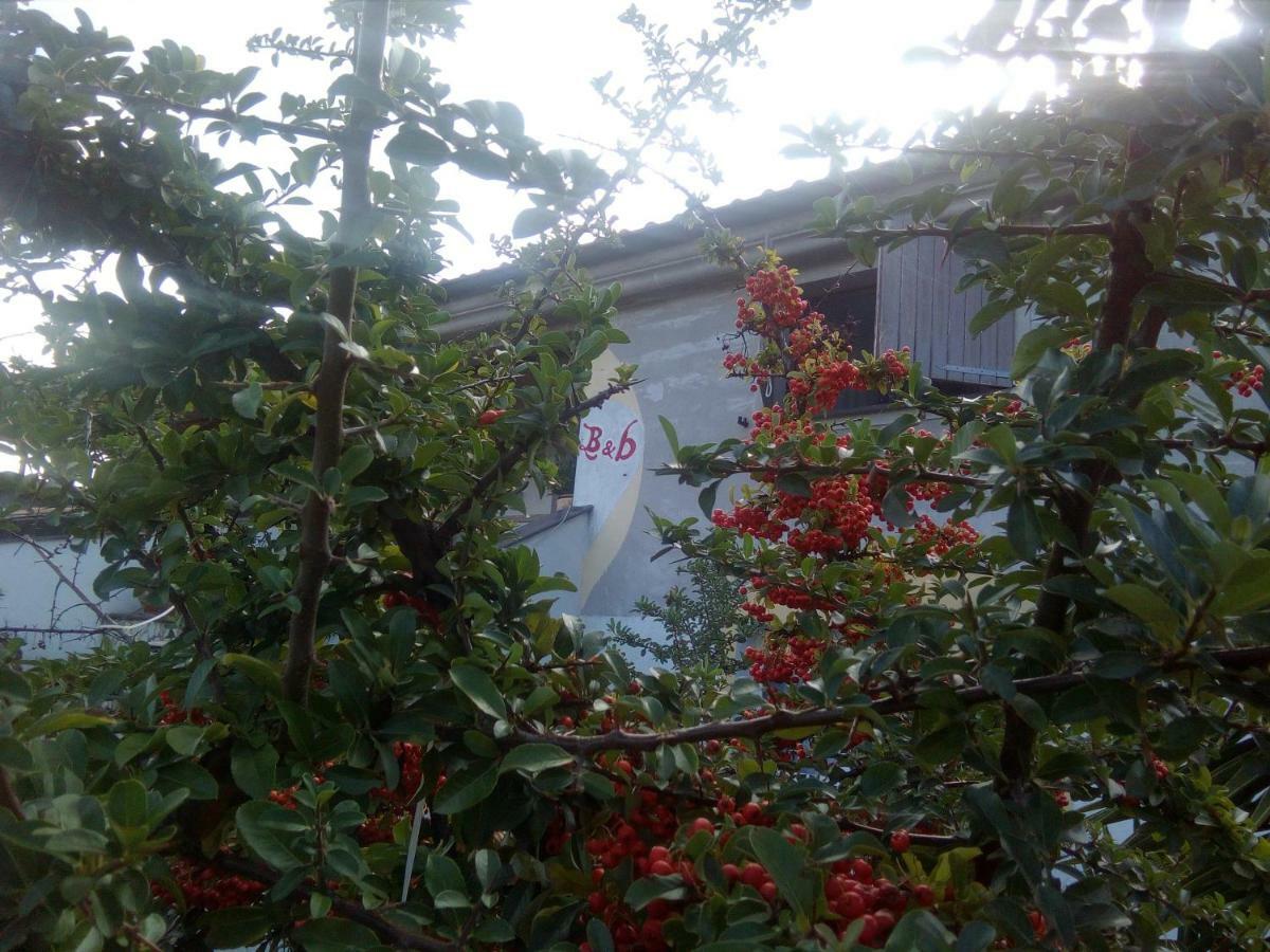 Casa D' Artista B&B 오지에리 외부 사진